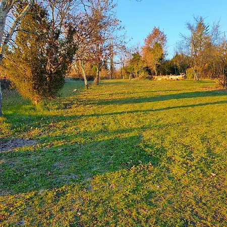 La Maison Des Oliviers * 오브테르 쉬르 드론