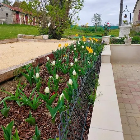 La Maison Des Oliviers 오브테르 쉬르 드론