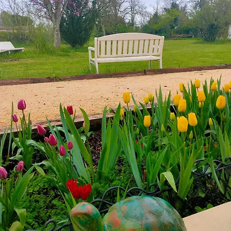 La Maison Des Oliviers * オーブテール・シュル・ドロンヌ