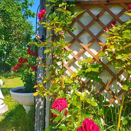 La Maison Des Oliviers *