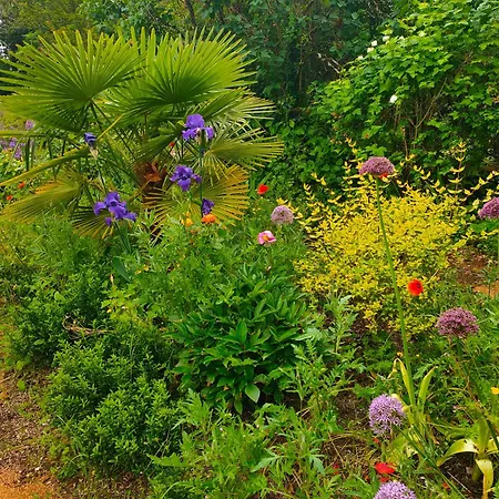 La Maison Des Oliviers *